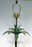 Vintage Bronze Camel and Palm Tree Patinated Bronze Table Lamp