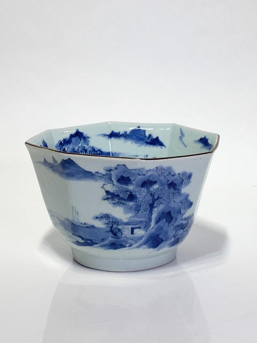 18th Century Octagonal Antique Chinese Porcelain Blue & White Scenic Design Bowl