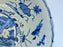 Ming Dynasty Blue & White Chinese Porcelain Bowl, Wanli Period Circa 1600