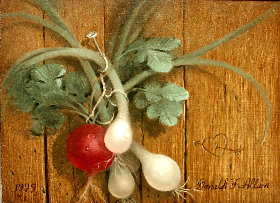 Trompe l'Oeil Still Life Framed Painting of Spring Onions & Radish by Donald F. Allan